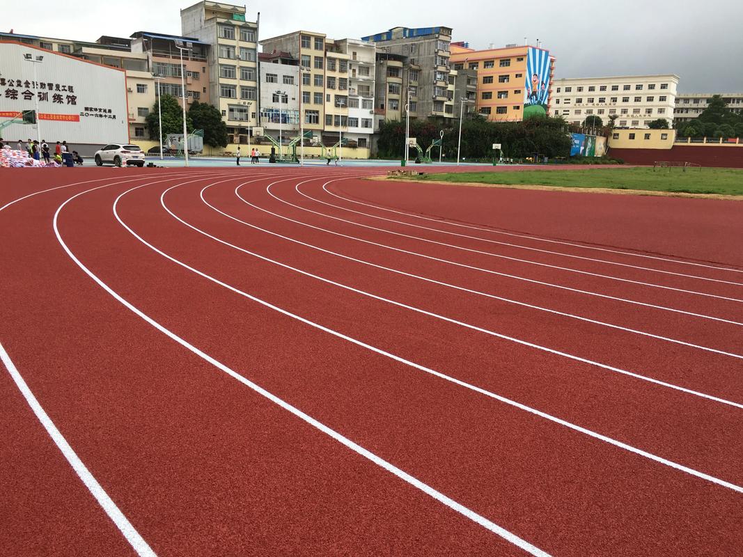 文昌市硅PU材料塑胶跑道材料 - 排名